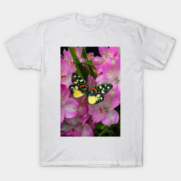 Rainbow Butterfly On Alstromeria Flowers T-Shirt by photogarry